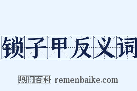锁子甲反义词是什么意思的图片